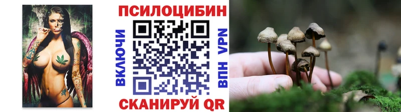 Купить где  Светлый  Галлюциногенные грибы MAGIC MUSHROOMS 